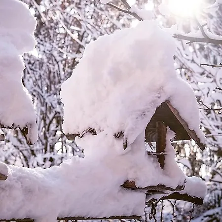Apartmán Dornroeschen-loft Marienberg